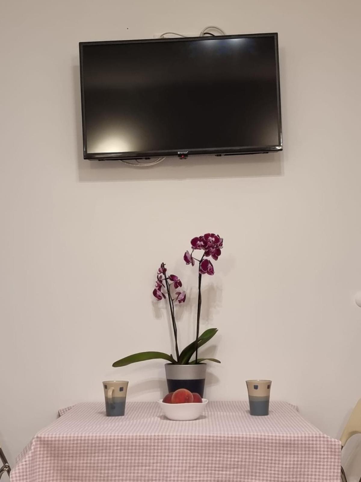 Vila Bonbon 2 比奥格勒·纳·莫鲁 外观 照片